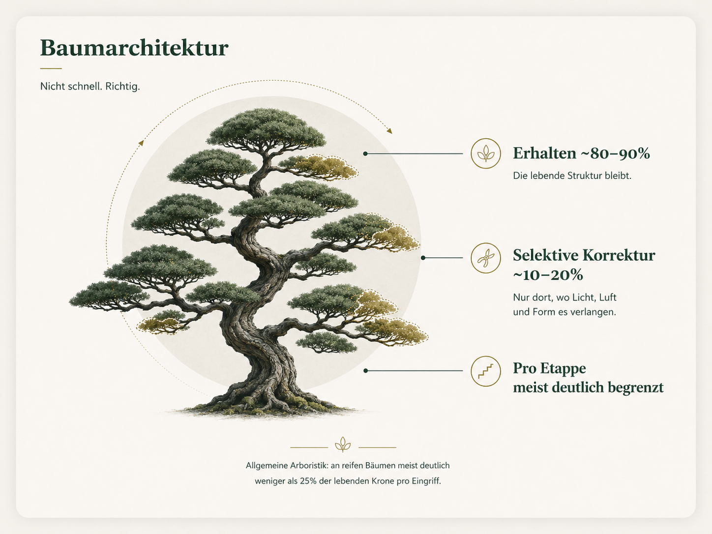 Baumarchitektur: selektive Korrektur und Erhalt der lebenden Struktur