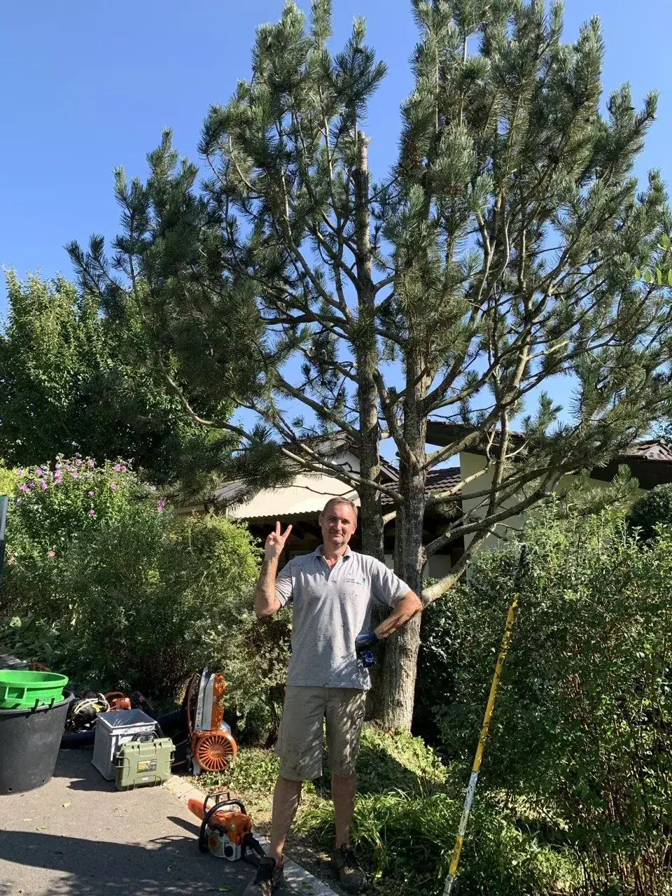 Viktor neben einer grossen Schwarzkiefer Pinus nigra - Massstab der Handarbeit am Baum
